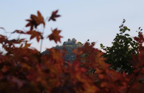 Haus Am Sonnenhügel - Foto 11