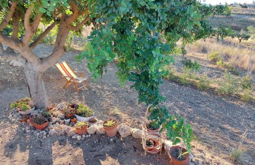 Casa Palombara - Healiday in Torre Salsa - Foto 64