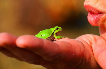 Landhaus im Rinnetal - Foto 103