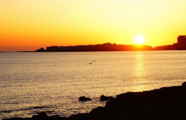 Comfortable Apartment Near the Beach - Photo 23