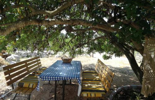 Hvar Mediterranean Ranch House - Foto 42