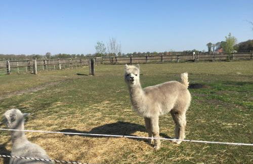 Ferienwohnung Lands Huys - Photo 29