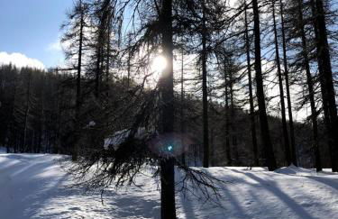 Clotes modern apartment, 50m from slopes - sleeps 6-8, 2 bath - SauzeHoliday - Photo 57