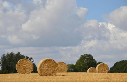 Museumshof Puddemin - Foto 17