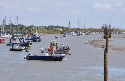 Maison sud Vendée - Photo 13