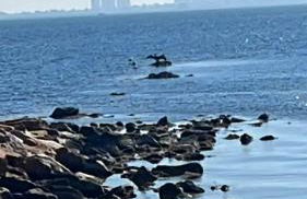 Casa Riad Amor Marrakech en Lo Pagan - Foto 21