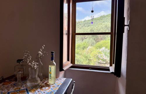 HOST4U - Cozy Warm House with Beautiful View on the Olives Valley - Foto 4