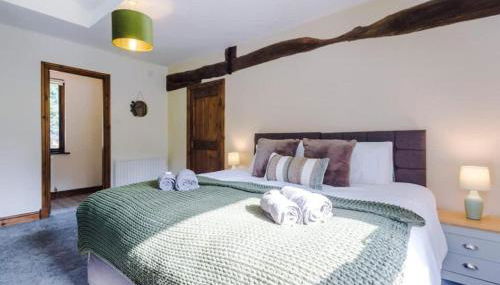 Peaceful Barn Near Cader Idris - Foto 3, towels