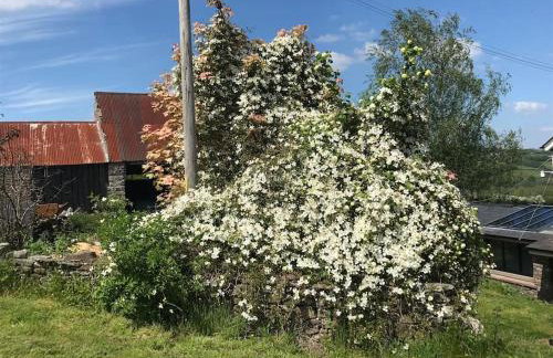 Large Former Farmhouse, Crickhowell - Foto 8