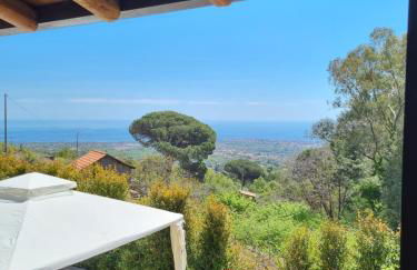 Villa Gorna - Foto 12