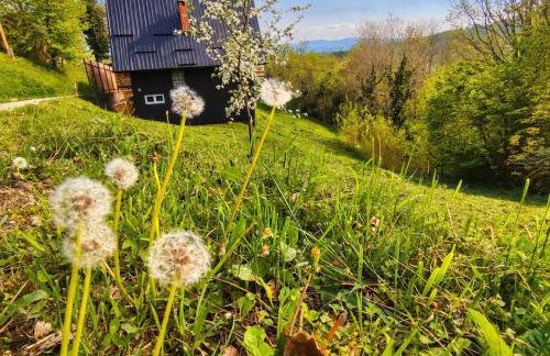 Cezarova kuća za odmor i proslave - Foto 5