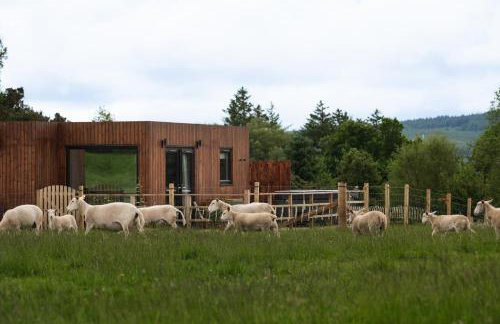 The Barn, Summerhill Farm Stays - Foto 11