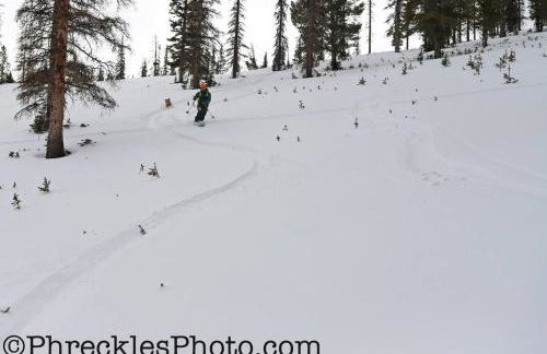 Mid-Century Modern Escape hikingbiking nearby! - Foto 35