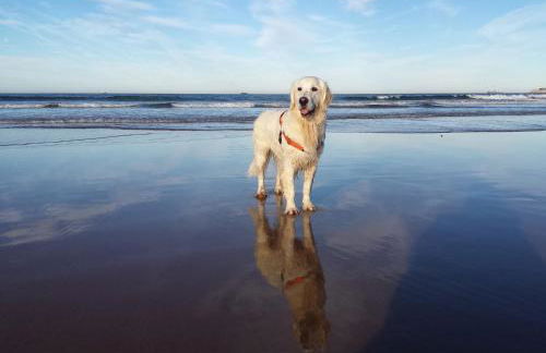 Casa de Aldea El Sol - Foto 38