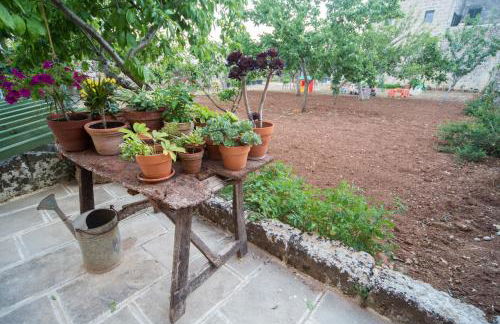 Corte degli Allori - Salento - Foto 30