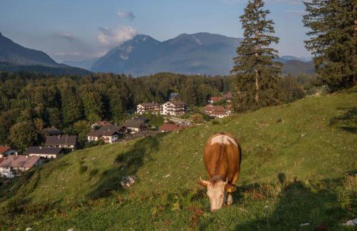 Lackner - Foto 30