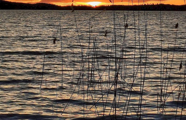 4 Person Holiday Home in Torshalla-by Traum - Foto 9