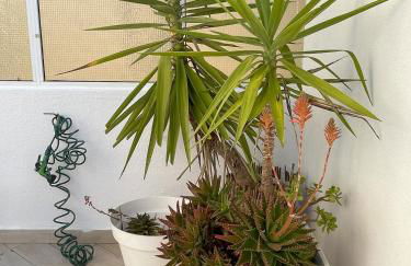 That Place For U - Blue House - Foto 15