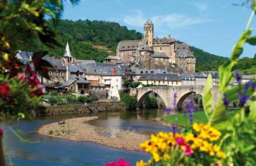 Appart T2 Village vacance 3 étoiles St Geniez d'Olt 2 piscines chauffées 75 - Photo 29