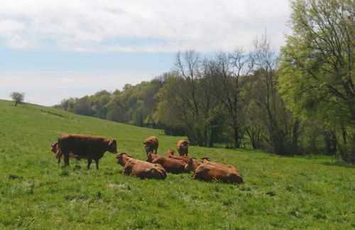 La Croisée Des Chemins - Foto 23