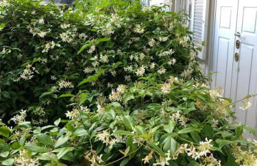 GBCITY Apartment - 20 mt da metro Wagner - Foto 25