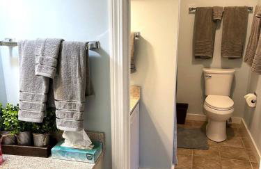 WOW-New Ski OnOff Suite By Pool Sleeps 4 Jiminy Pk - Foto 7