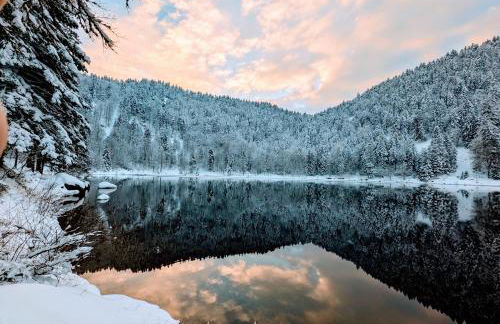 Chalet Sauna jacuzzi 6 personnes - Foto 46