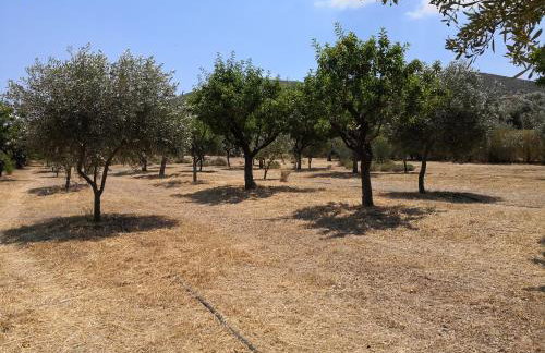 Villa Rosa with private pool, Athens Riviera - Foto 31