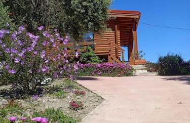 The lodge guest house - Foto 17