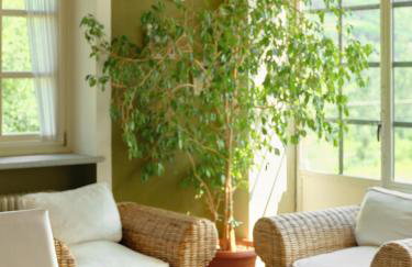 Vigna Dell'Acqua - Photo 42