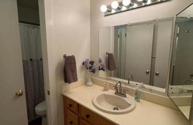 Dont miss the Main level Cozy Winter Retreat - Photo 16