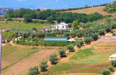 Terra di Ea - Foto 61