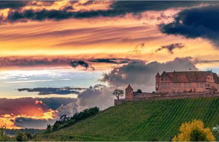 Gemütlich mit Blick auf die Burg.Autobahnanbindung - Foto 12