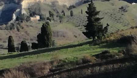 Agriturismo La Spiga - Foto 4