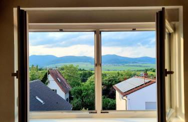 Weitblick Pfalz - Foto 2