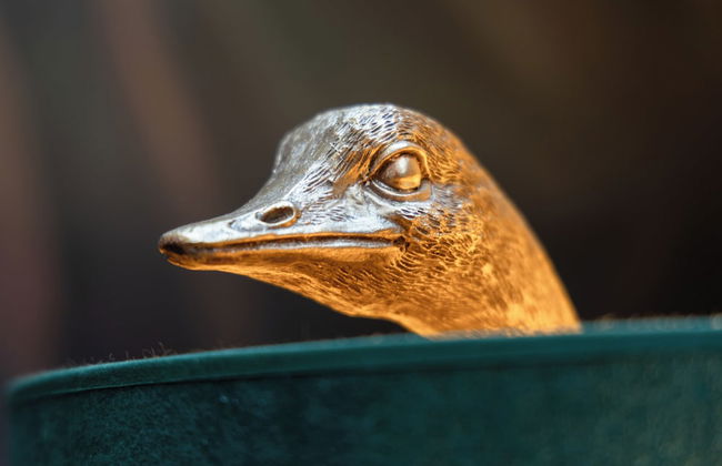 Decadent Art Deco Apartment in Old Town - Foto 19