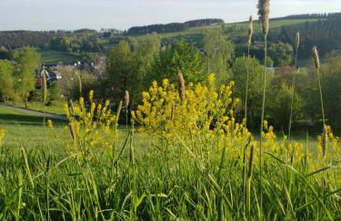 Sonnen Panorama - Abenteurer und Weltentdecker - Foto 28