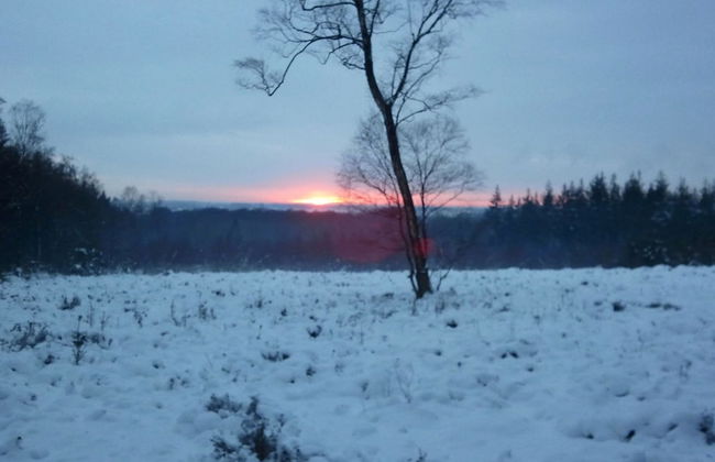 Apartment in Wageningen Near Rhine River - Photo 14