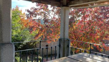 Casal da Gata - Foto 2