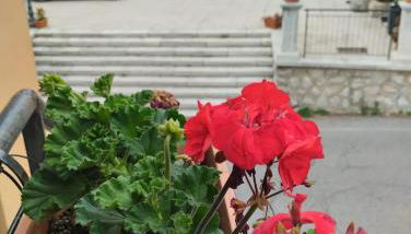 6 Kilometri dal Mare e dall'Aspromonte Motta San Giovanni Visita Canyon e Castello - Foto 5