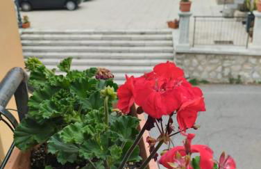 6 Kilometri dal Mare e dall'Aspromonte Motta San Giovanni Visita Canyon e Castello - Foto 5