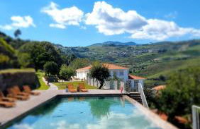 Quinta de Travassinhos- Douro Valley & Spa - Photo 3