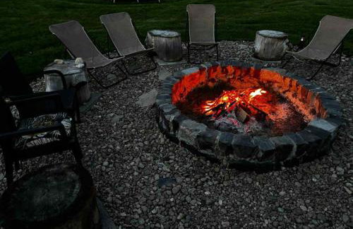 AgroStudio - Foto 24