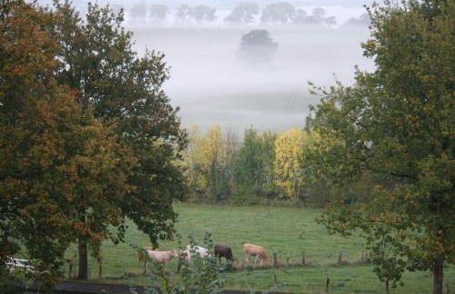 Reethus Stöfs - Foto 27