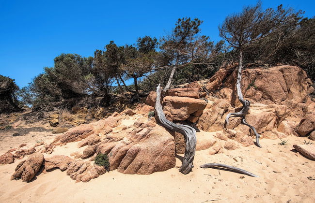 Residence I Mirti n. 8 - Foto 16