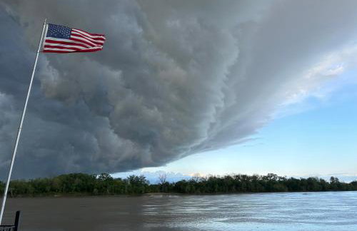 Paw Paw Tree Estate - Foto 10