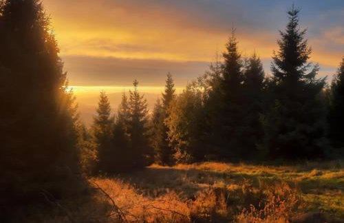 Gorczańskie Domki - Photo 39