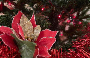"Lu Barocco" a soli 10 min da Torre Lapillo - Foto 64