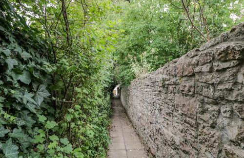 White Roses - Foto 48