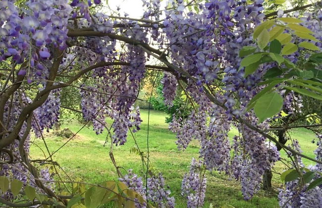 La Stregatta B&B - Foto 36